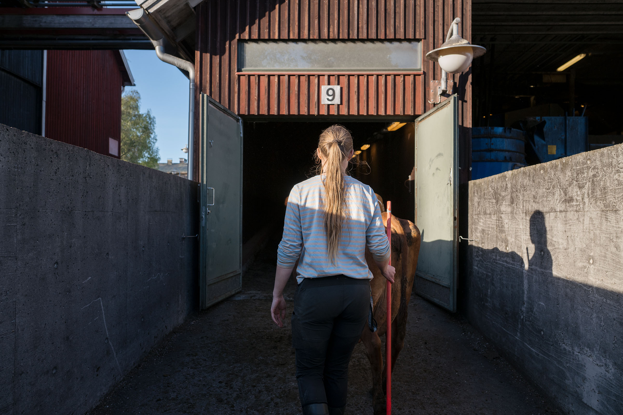 NATURE / HELENA KUOPPALA